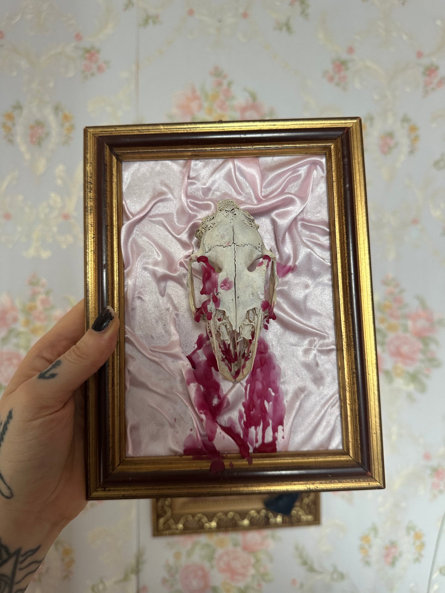 Rahmen mit echtem Tierschädel