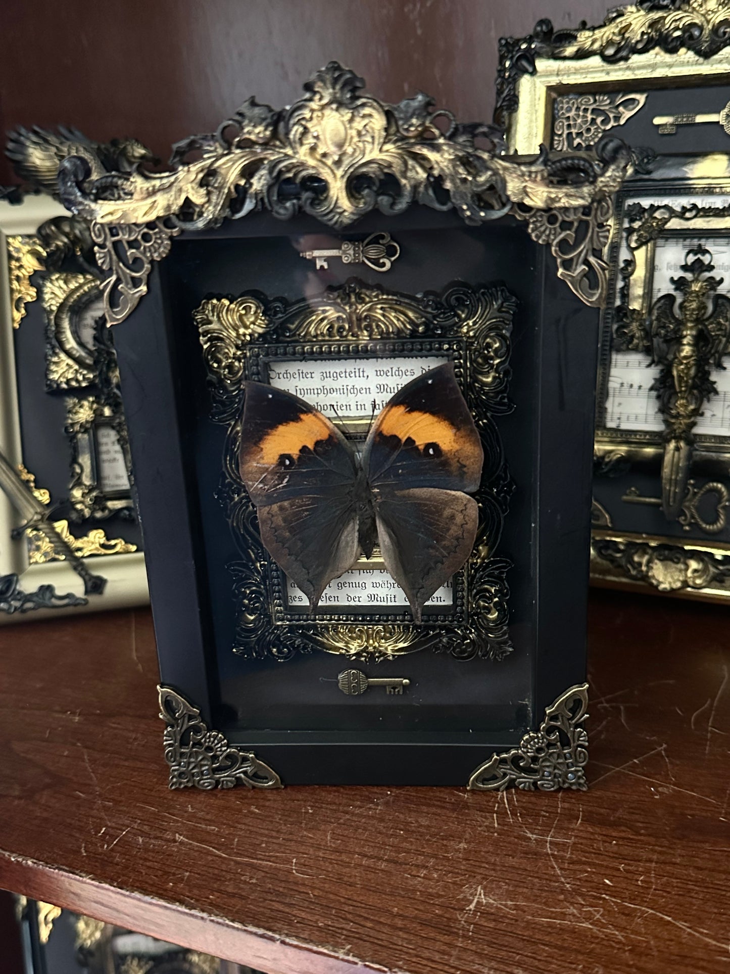 Rahmen „Aurea Arcana No.8“ mit echtem Schmetterling