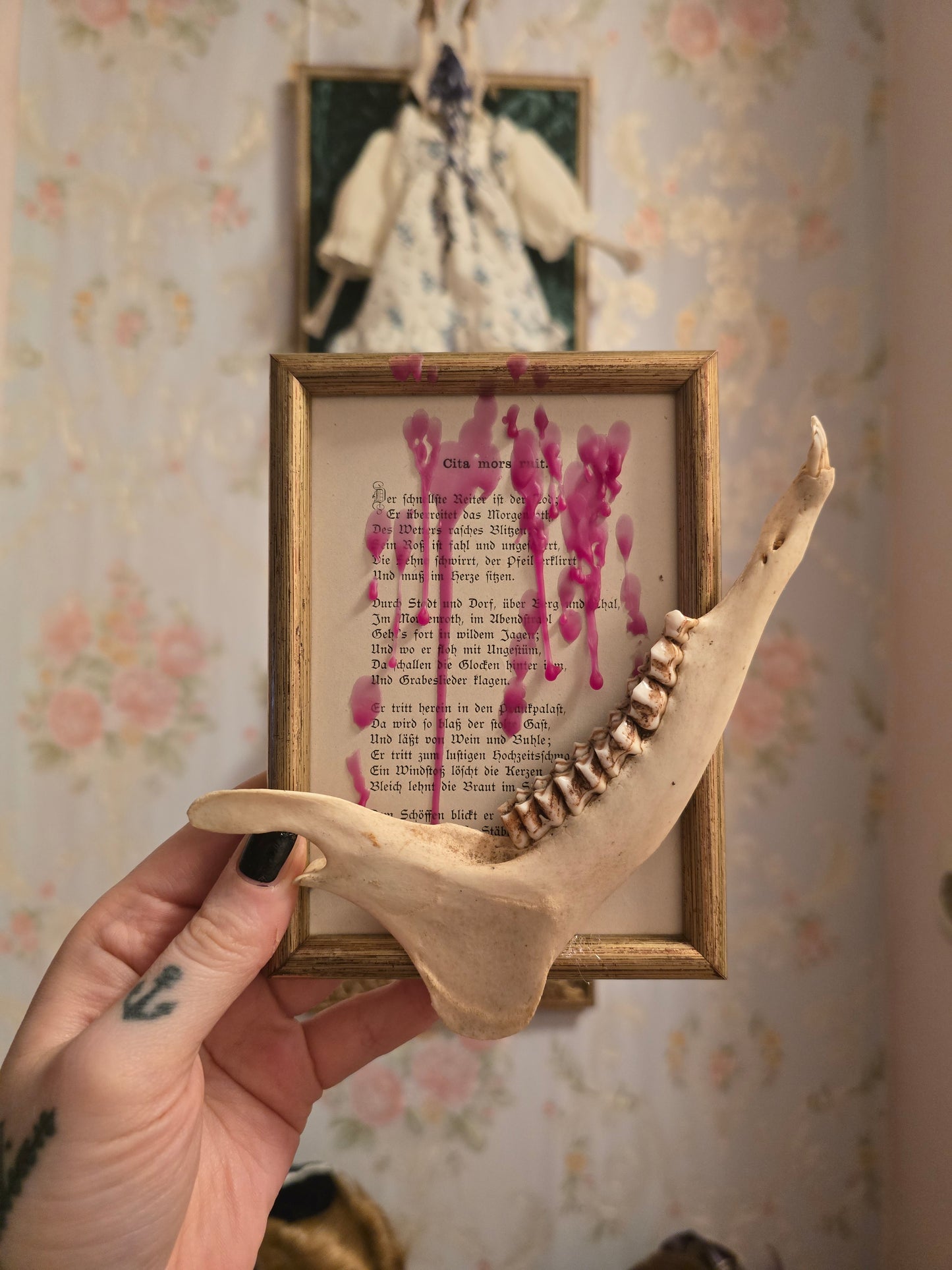 Rahmen mit echtem Kieferknochen