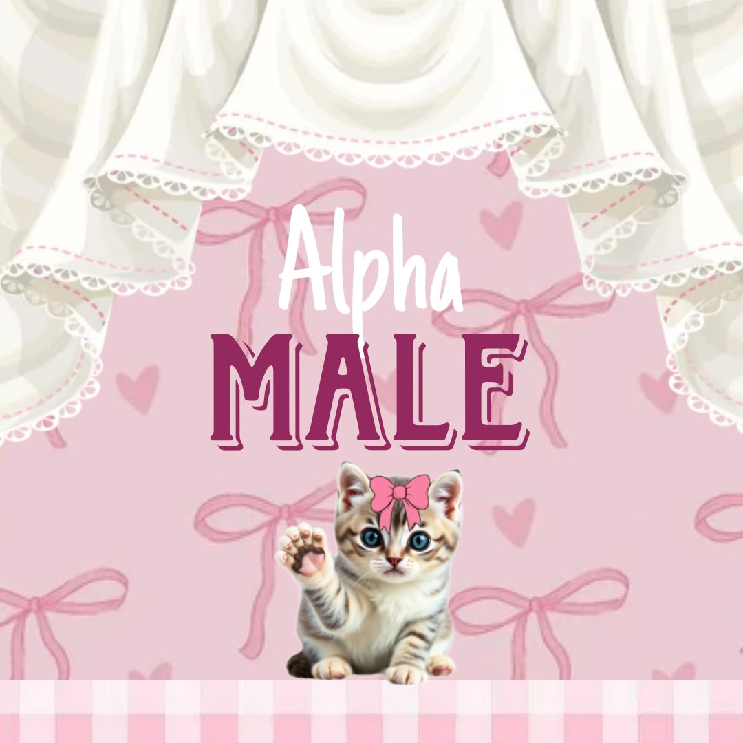 Patch "Alpha Male No.13"