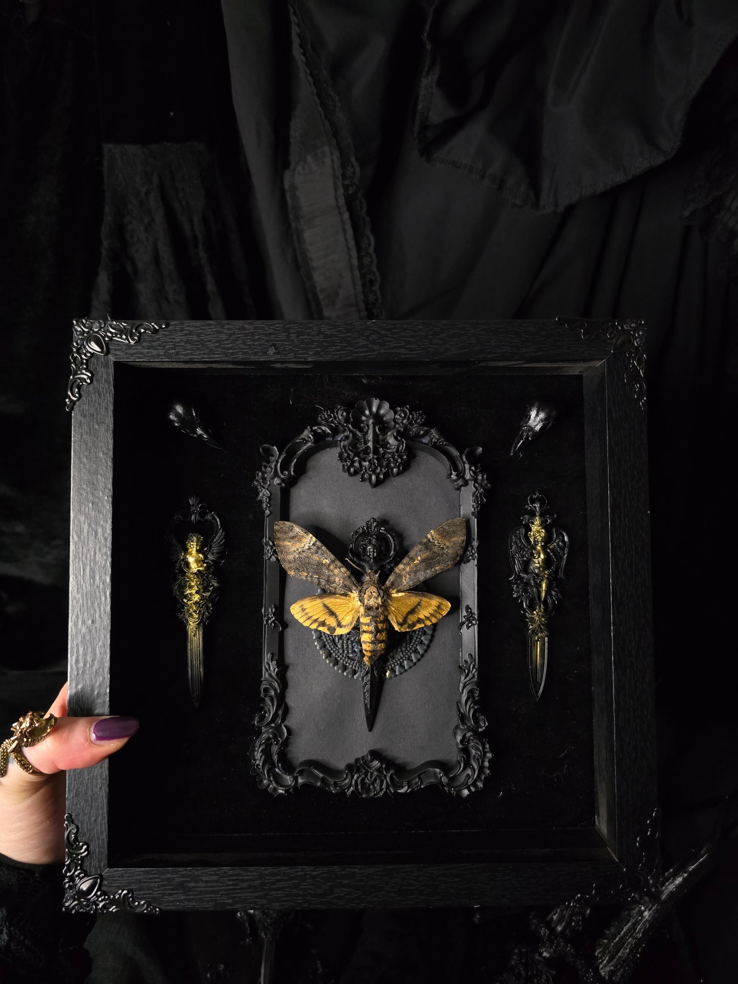 Rahmen mit echtem Totenkopf Schwärmer aus Ornamenten aus Epoxidharz