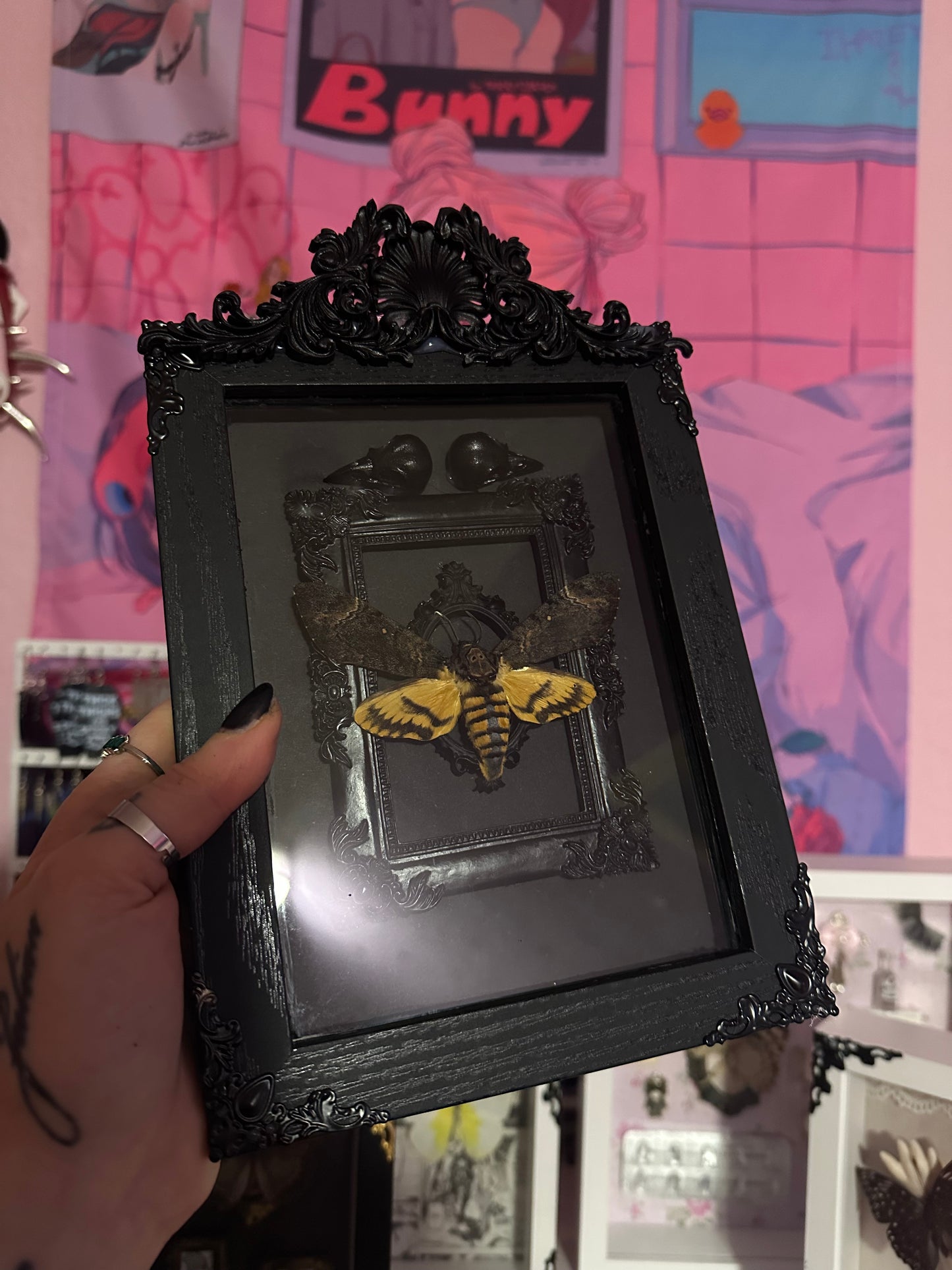 Rahmen „Skull Moth No.2“