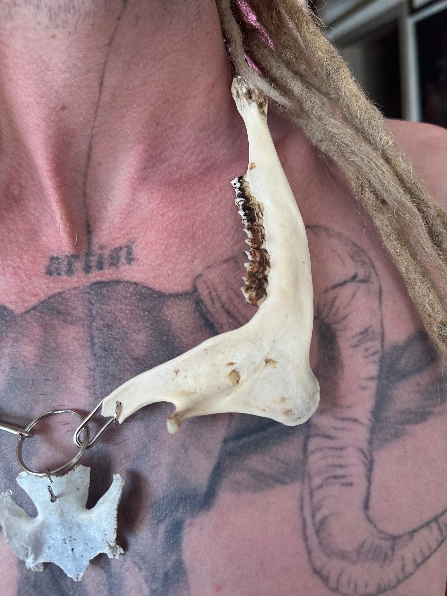 Kette aus echten Reh Kieferknochen