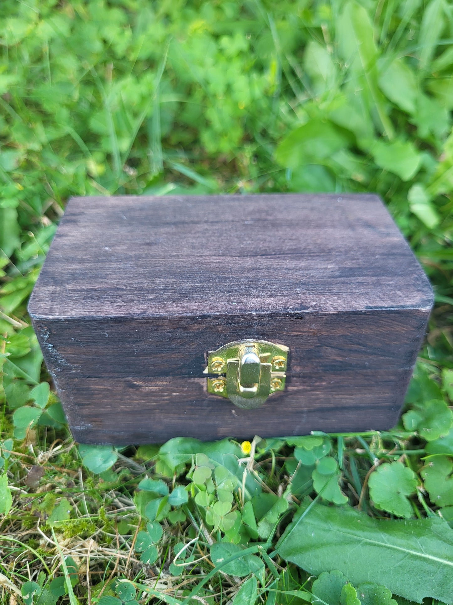 Miniature Forest Box