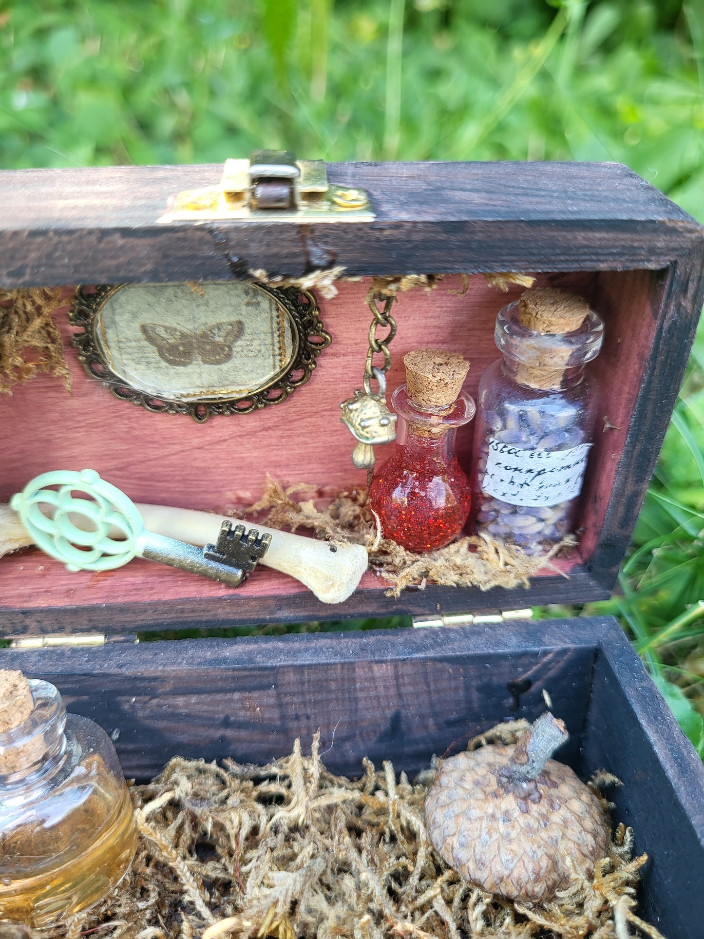 Miniature Forest Box