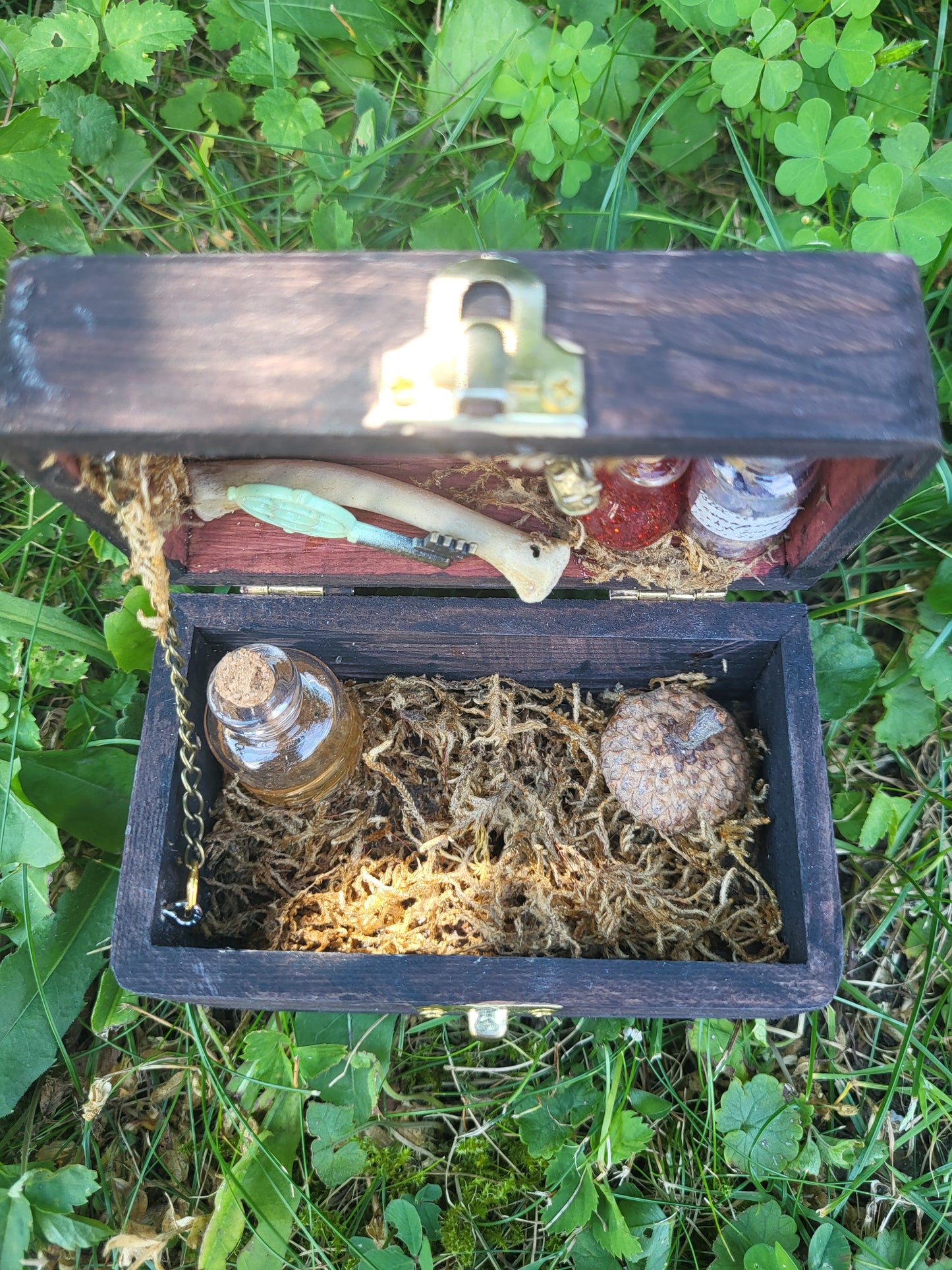 Miniature Forest Box