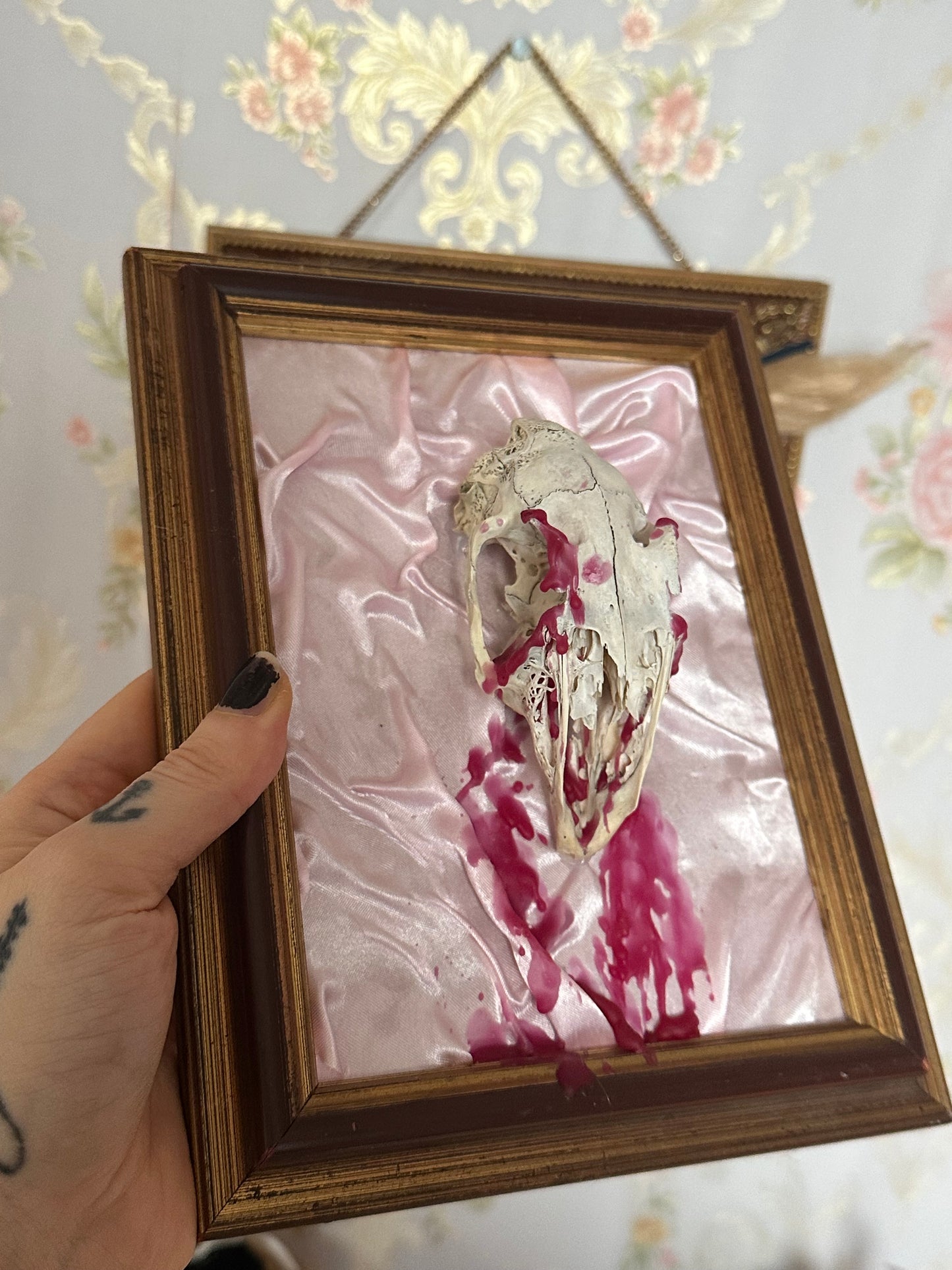 Rahmen mit echtem Tierschädel