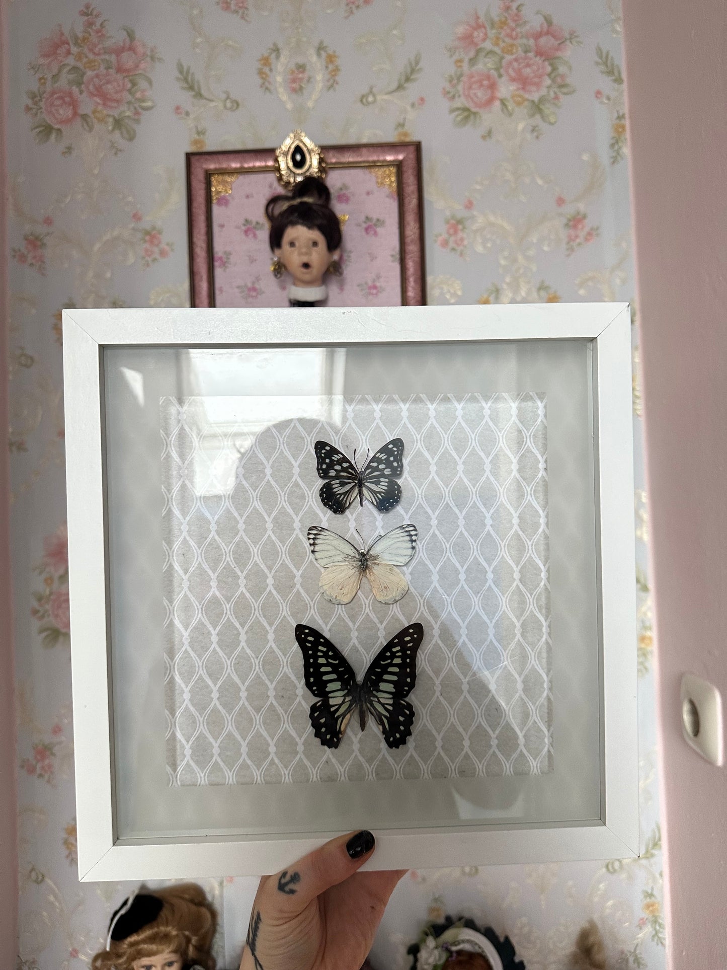 Großer Rahmen mit echten Schmetterlingen