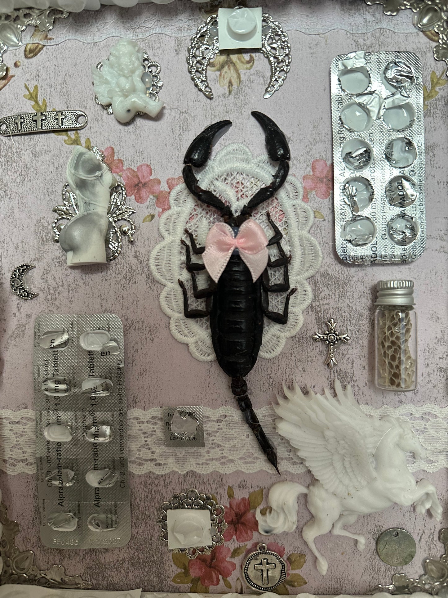 Rahmen „Girl Dinner No. 16“ mit echtem Skorpion