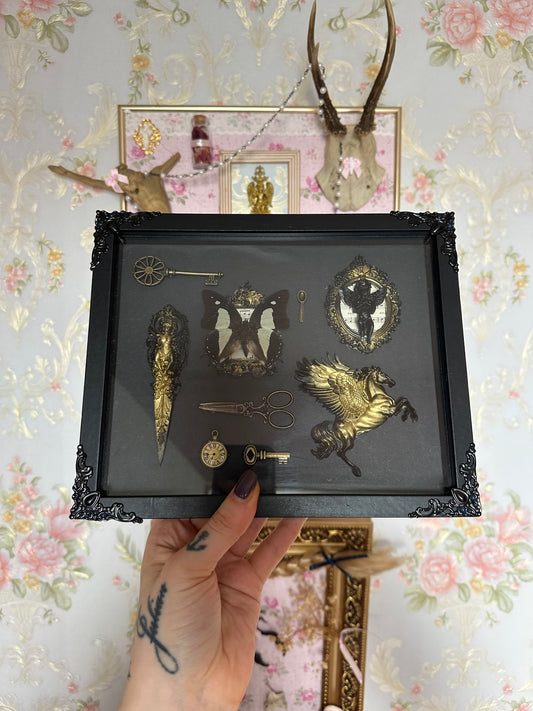 Rahmen „Aurea Arcana No.1“ mit echtem Schmetterling