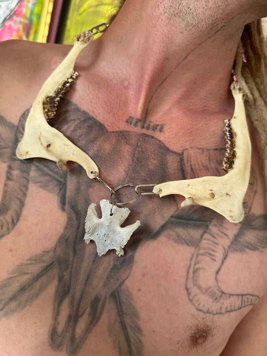 Kette aus echten Reh Kieferknochen