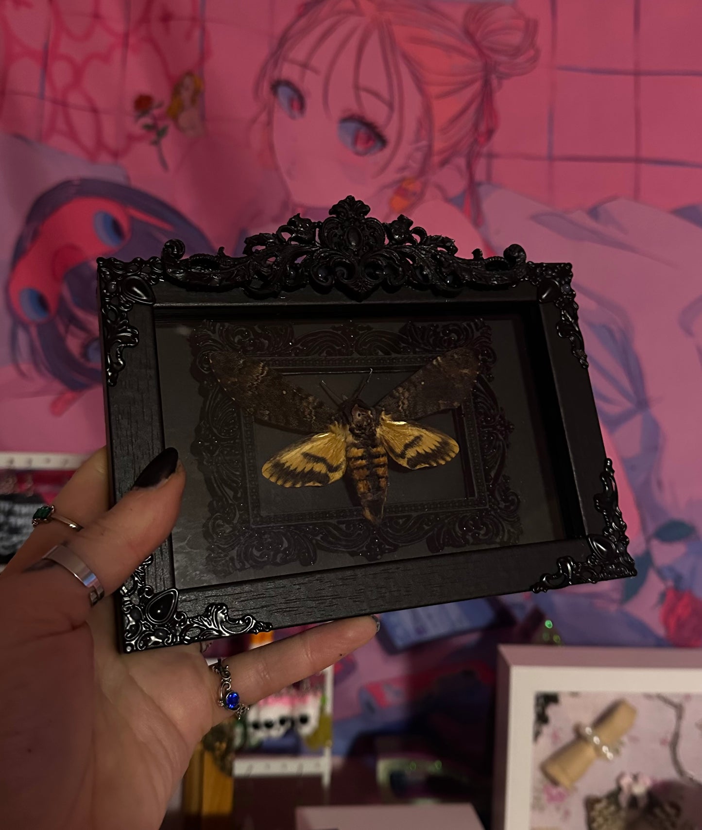 Rahmen „Skull Moth No.1“