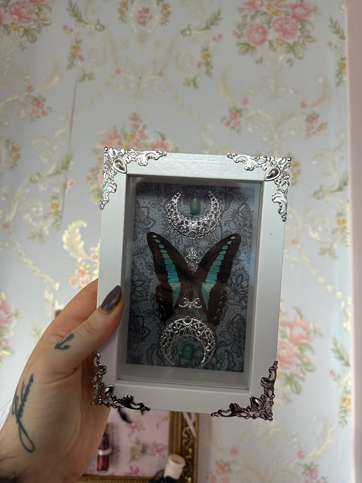 Rahmen mit echtem Schmetterling