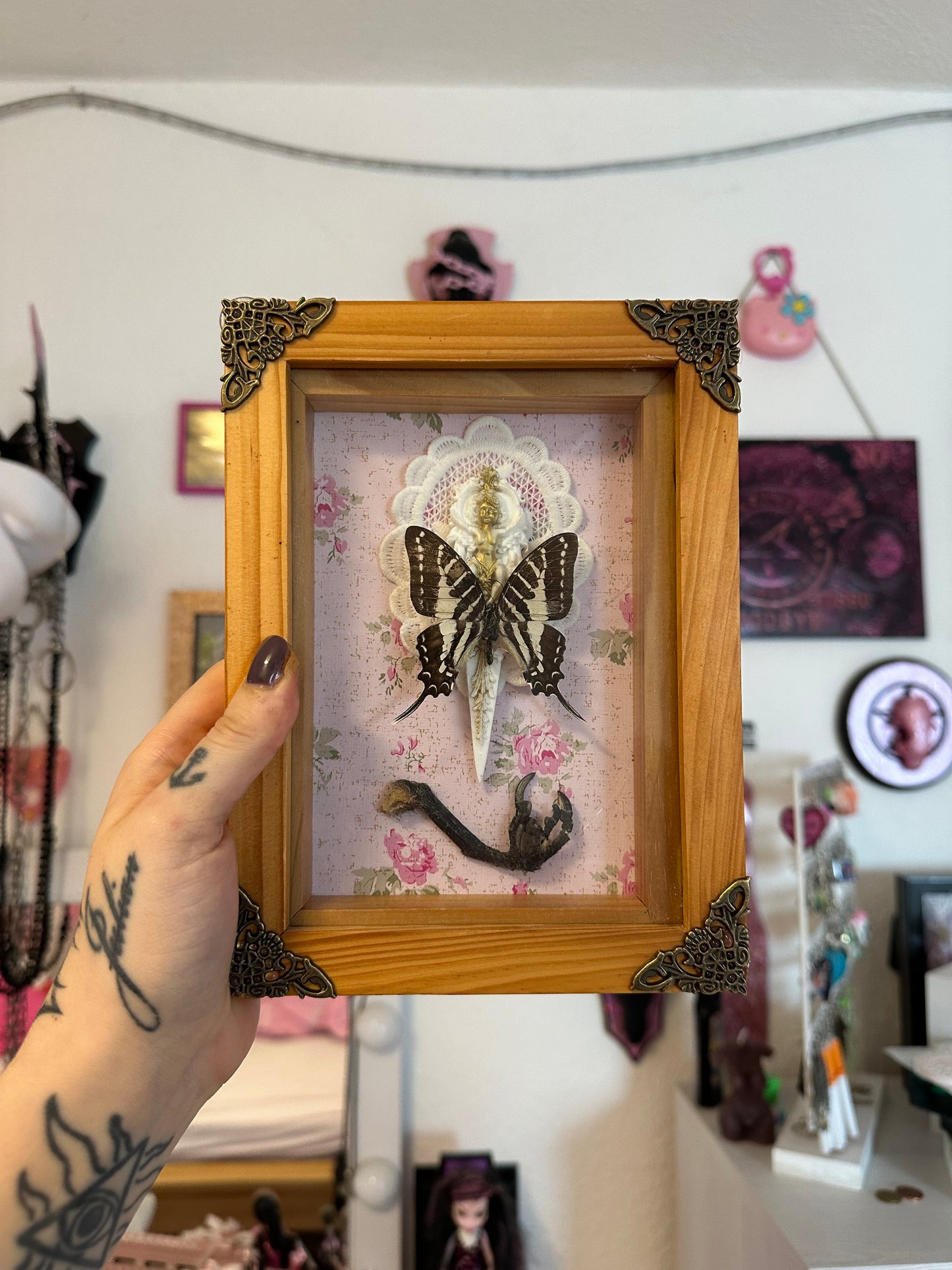 Rahmen mit echtem Schmetterling und Krähenfuß