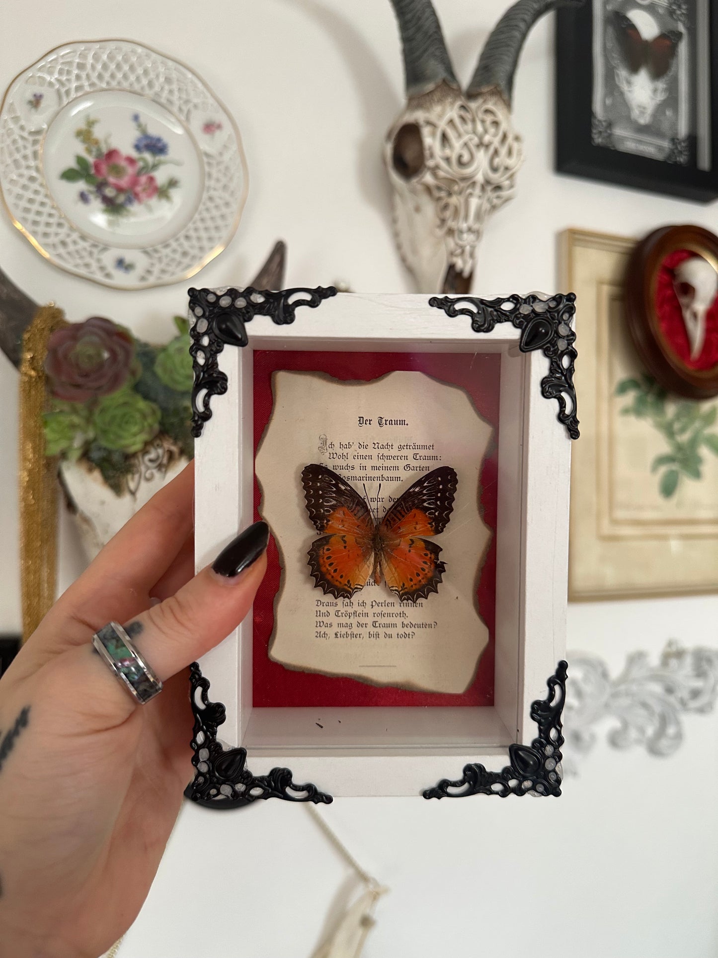 Rahmen „Der Traum“ mit echtem Schmetterling