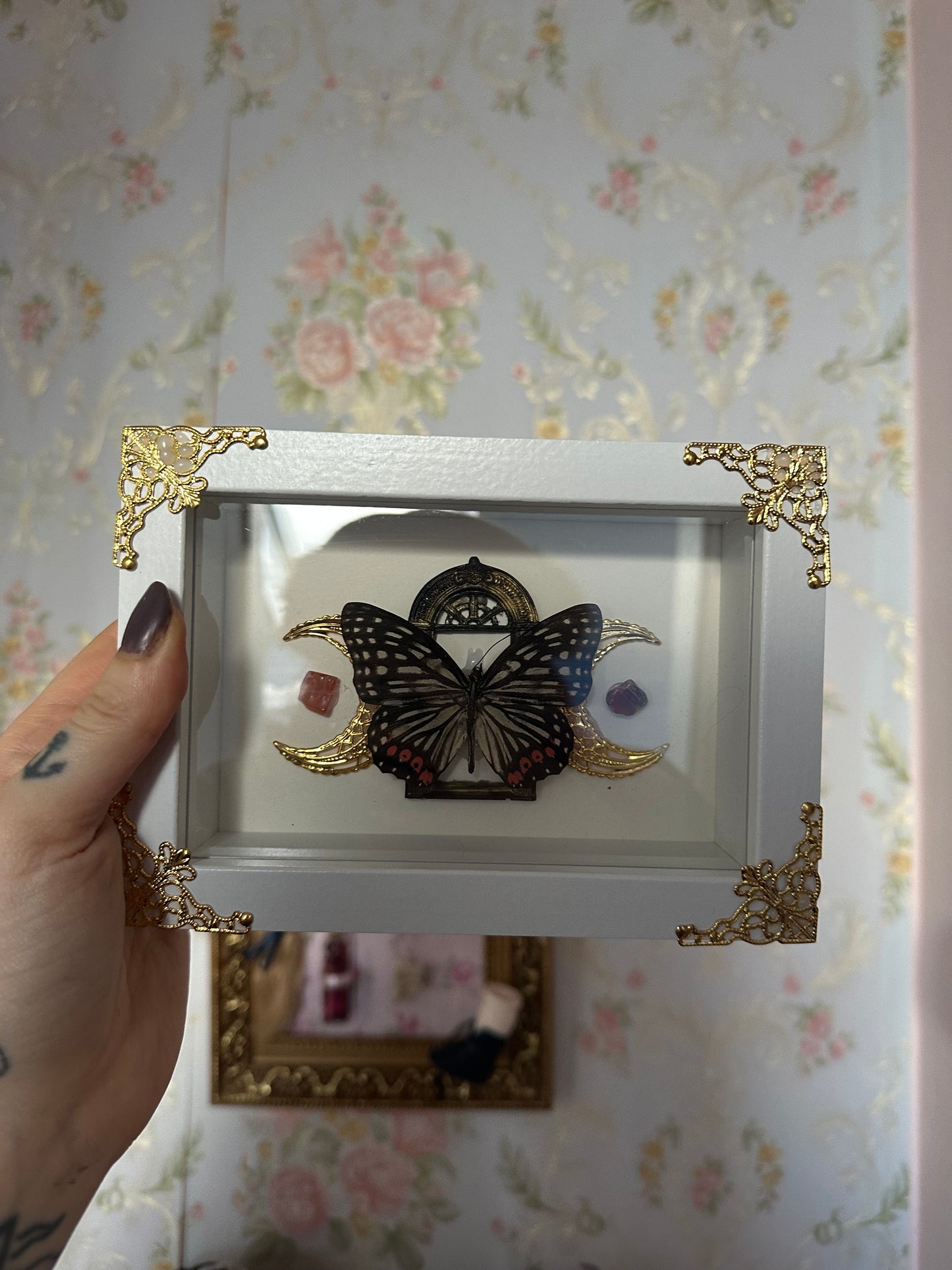 Rahmen mit echtem Schmetterling