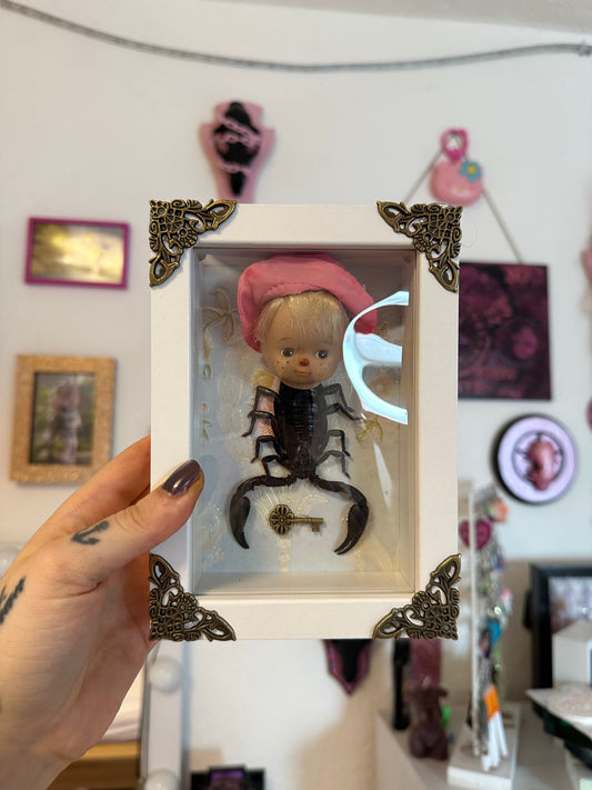 Rahmen mit echtem Skorpion