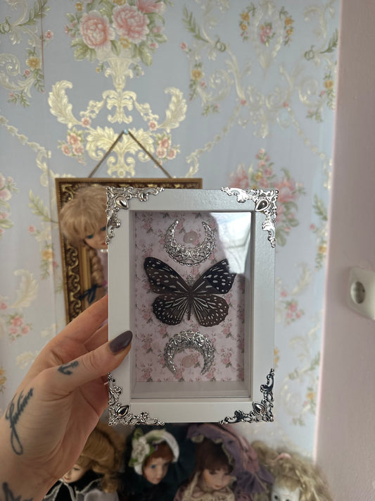 Rahmen mit echtem Schmetterling