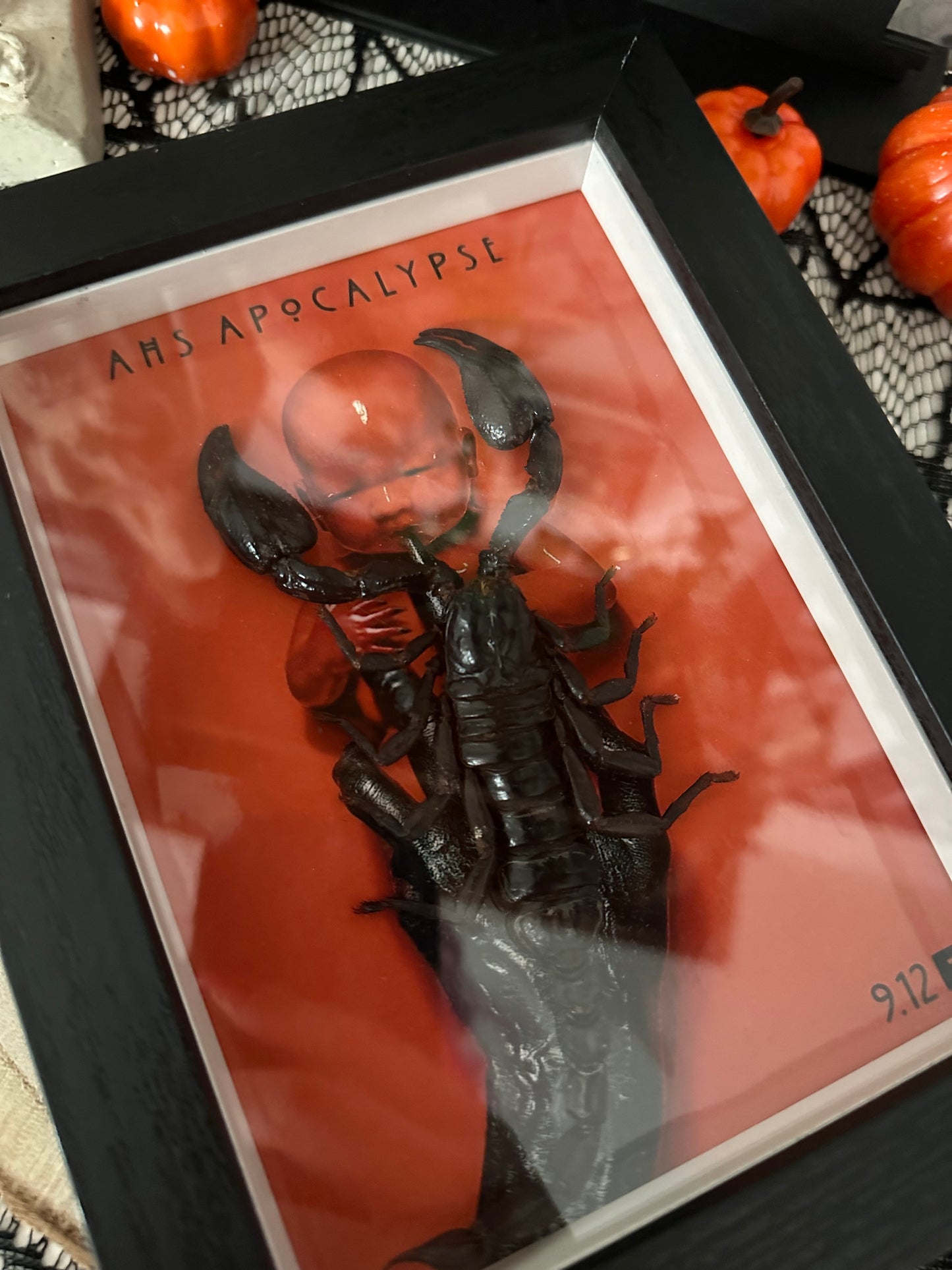 AHS Rahmen mit echtem Skorpion „Apocalyse“ Halloween