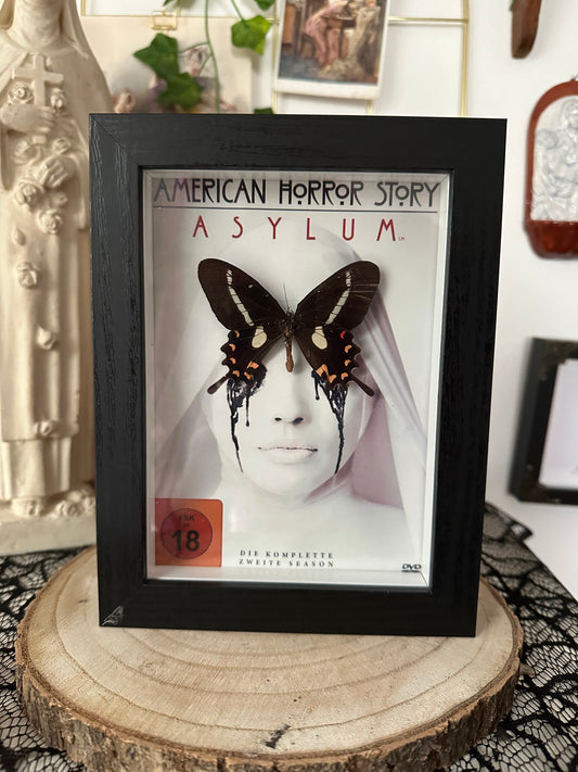 AHS Rahmen mit echtem Schmetterling „Asylum“ Halloween