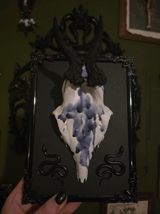 Echtes Geweih mit Wachs