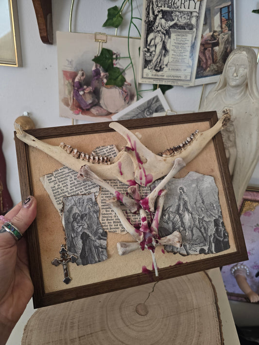 "Boneyard" Rahmen mit echten Knochen