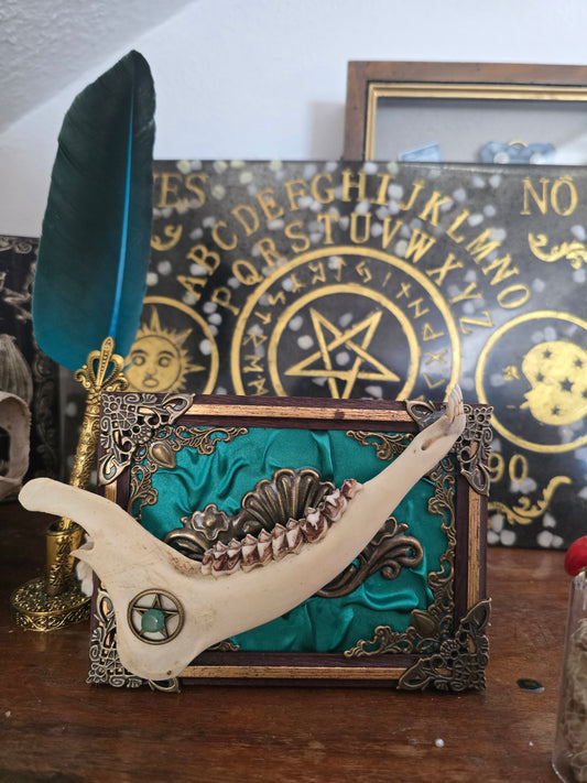 "Velvetum viride" Rahmen mit echtem Tierkieferknochen und Edelsteinen