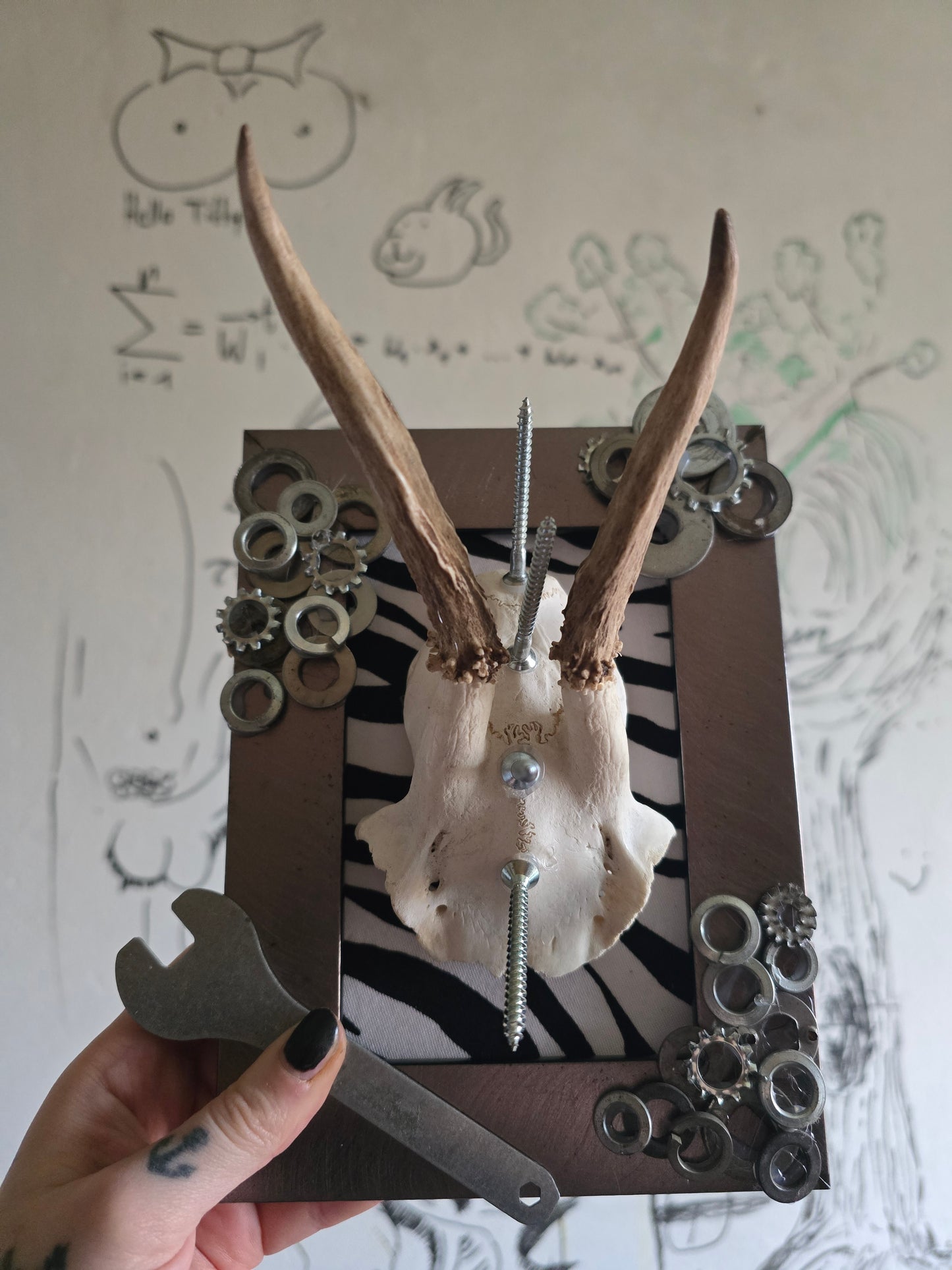 Echtes Geweih mit Schrauben