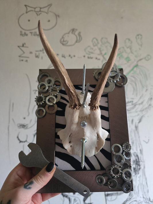 Echtes Geweih mit Schrauben