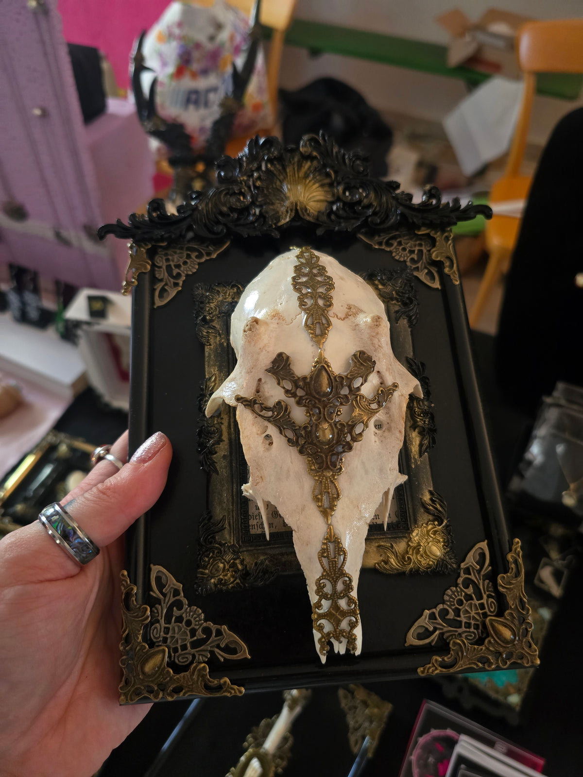 Rahmen "Aurea Arcana No.30" mit echtem Rehschädel