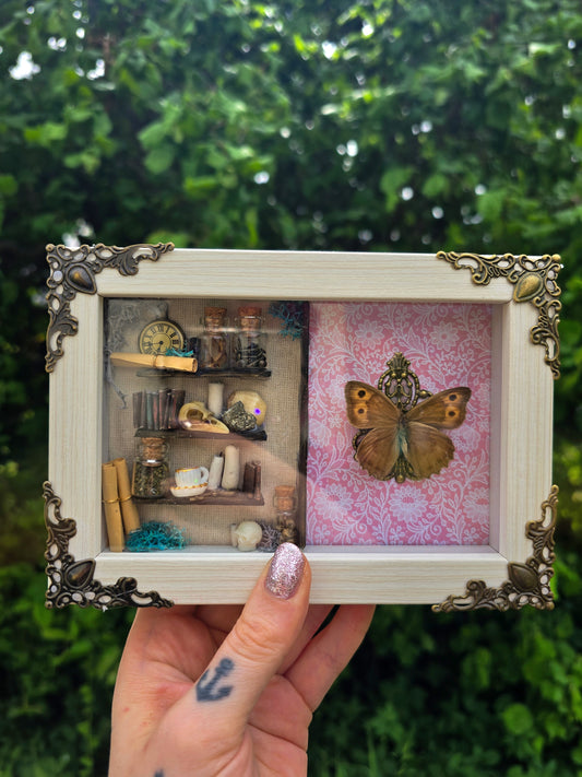 Rahme mit echtem Schmetterling