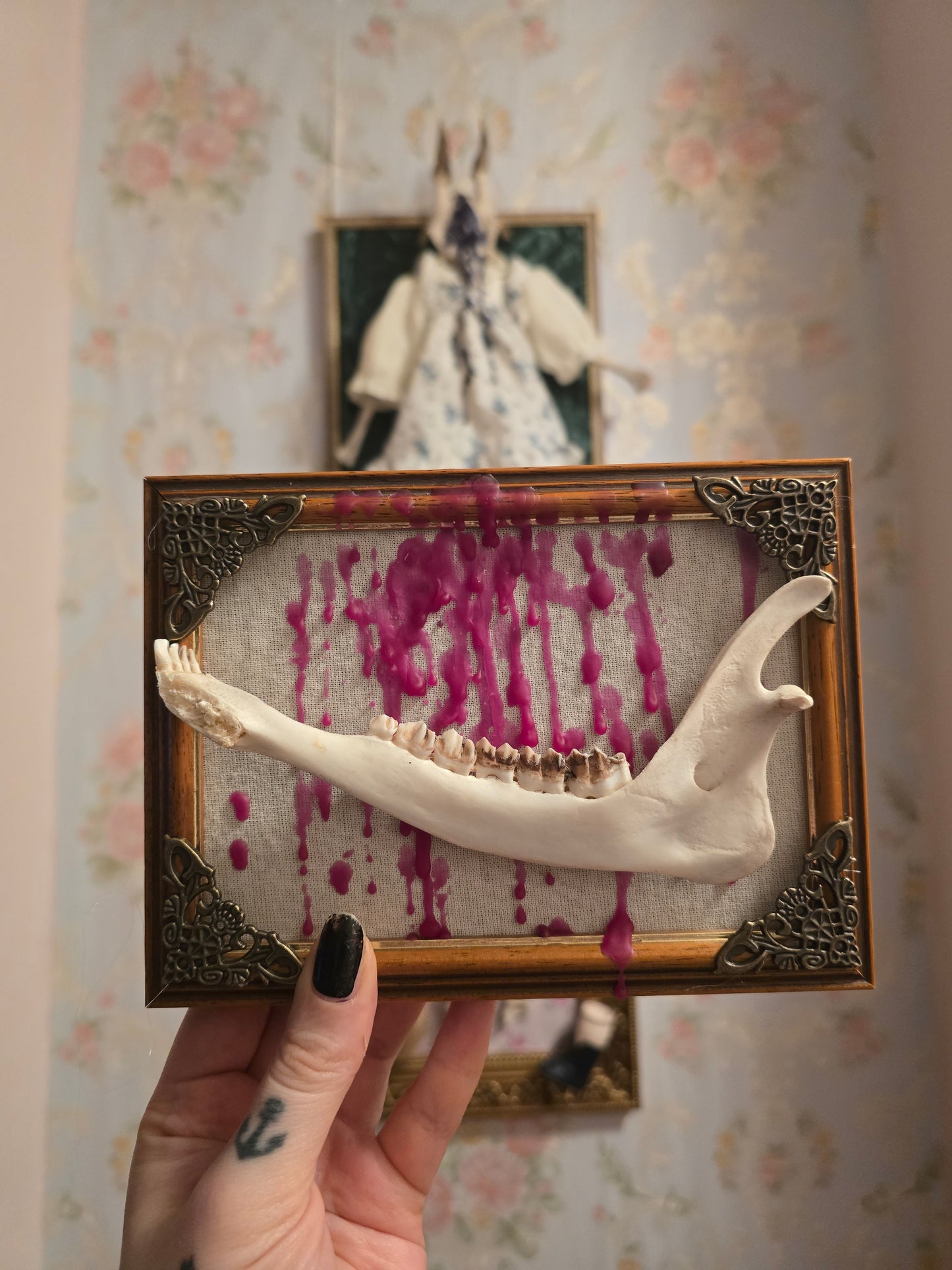 Rahmen mit echtem Kieferknochen