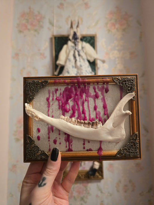 Rahmen mit echtem Kieferknochen