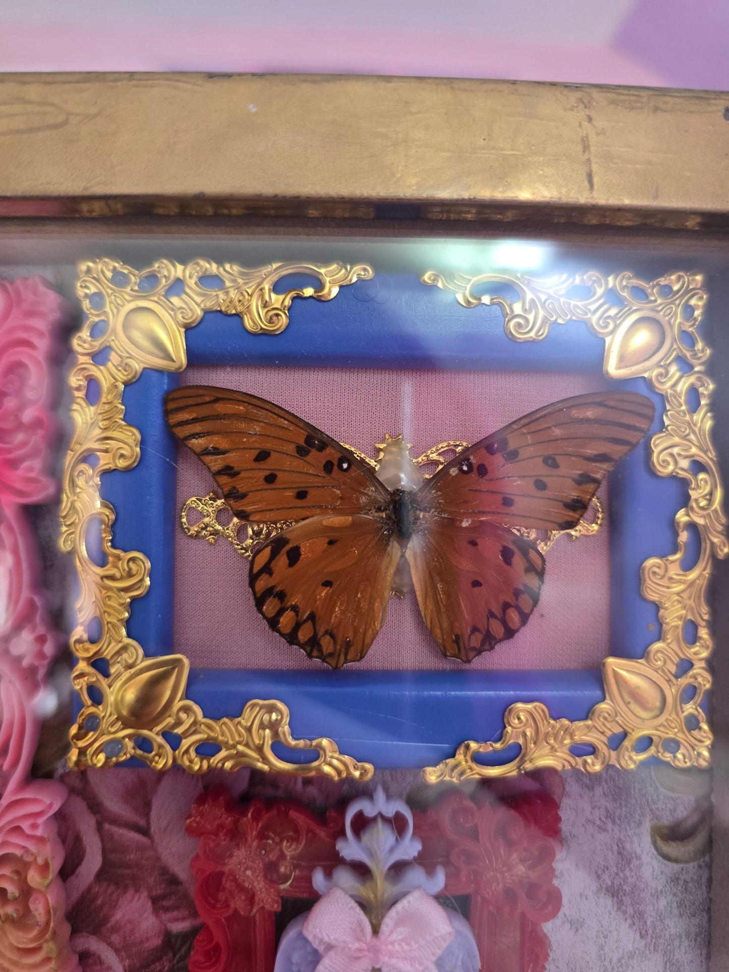 Rahmen mit echtem Schmetterling