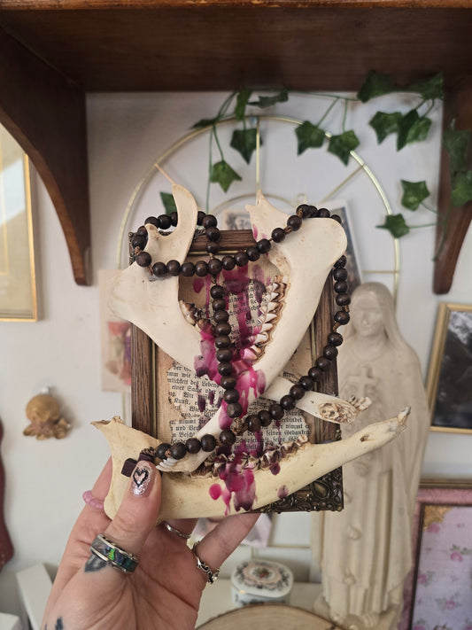 "Boneyard" Rahmen mit echten Knochen